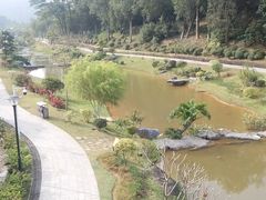 -东莞植物园