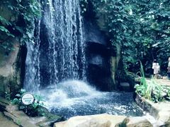 -南山植物园