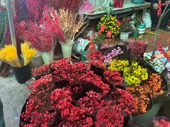 -梅陇花鸟市场-停车场