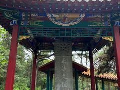 -高尔山公园