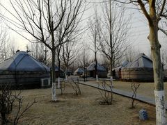 -九十九顶毡房(阜石路店)