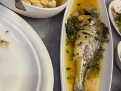 -老绍兴养和饭店(向阳不夜城店)