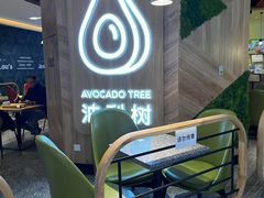-油梨树AVOCADO TREE(嘉里中心店)