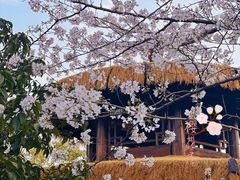 -东湖落雁景区