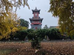 -四川大学(华西校区)