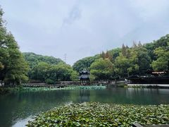 -忠山公园