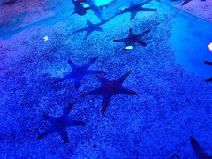 -正佳极地海洋世界