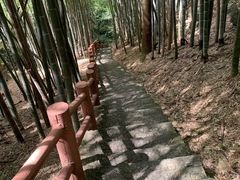 -藏龙百瀑风景区