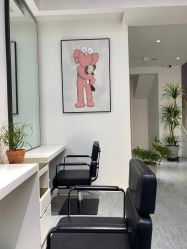 点击看大图 -IDOL PLUS