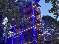 -重庆海昌加勒比海水世界