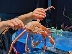 -古京·臻致料理(月湖店)