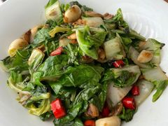 -朝馆·市井本味菜