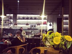 -Apollo·西班牙小酒馆(安福路店)