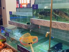 -鱼你相聚·河鲜馆(袁家岭店)