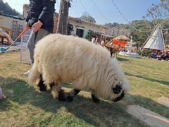 -HERRE·FARM 赫尔露营农场·团建聚会包场