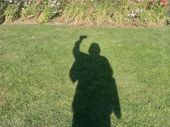 -徐家汇源景区-衡山公园