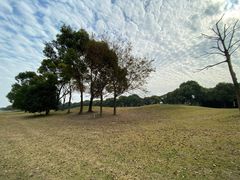 -银涛高尔夫练习场(徐泾店)