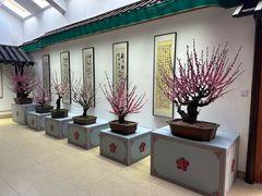 -无锡梅园公园