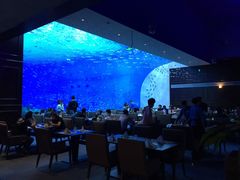 餐饮设施鲸鲨餐厅-上海海昌海洋公园