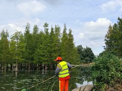 -白鹭湾湿地公园