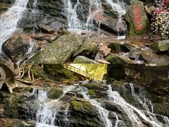 -五女峰国家森林公园