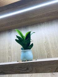 点击看大图 -苑苑vbeauty科技美容SPA