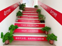 -上海大自然野生昆虫馆(东方明珠·爬宠昆虫探索中心)