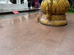 -西双版纳傣族园
