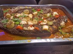 -沈胖子音乐烤吧·炒菜·龙虾(环城东路店)