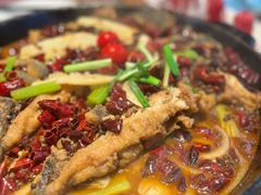 -老板恋上鱼(恒隆广场店)