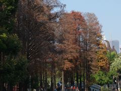 -四海公园(南山区)