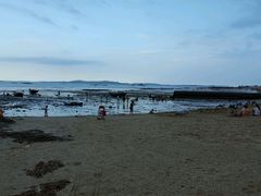 -巨鹏飞梦幻海岸