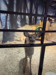 -酷嗒动物文化乐园(cutezoo西溪乐天城店)