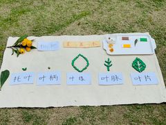 -硅谷蒙学幼儿园