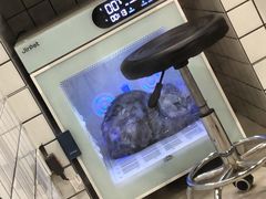 -熊小胖宠物生活馆(天华园店)