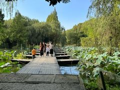 -柯岩风景区