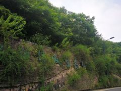 -西湖风景区-江洋畈生态公园