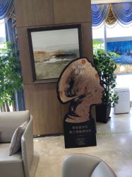 -北京米扬丽格医疗美容·联合丽格鼻整形中心