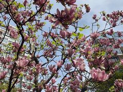 -玄武湖景区-情侣园游乐场