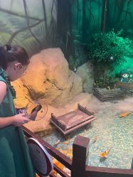 -酷嗒动物文化乐园(cutezoo西溪乐天城店)