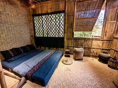 -西双版纳原始森林公园