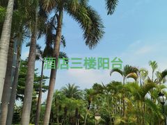 -广州科尔海悦酒店