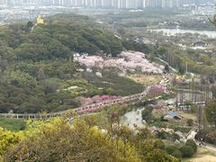 -苏州上方山国家森林公园