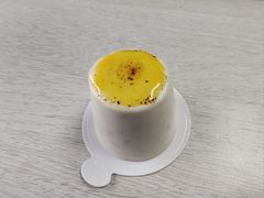 北海道芝士-TD66高山铁皮石斛养生茶饮
