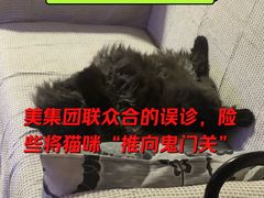 -美联众合动物医院·24h京西诊疗中心