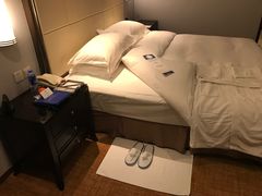 -武汉江城明珠豪生大酒店