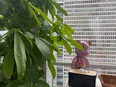 -马泷齿科·成都锦江置略马泷口腔门诊部(IFS国金中心店)
