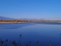 -野鸭湖国家湿地公园
