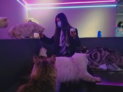 -极木²邸 人与宠物·互动社区