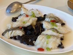 古法蒸珍珠斑球-利苑酒家(金宝店)